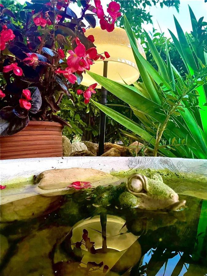 Lagoon Beach House Nea Poteidaia Zewnętrze zdjęcie